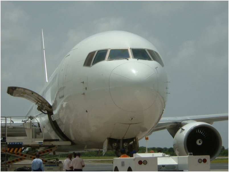 Flight (34)
